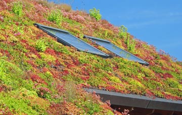 Taobh A Chaolais living roof systems